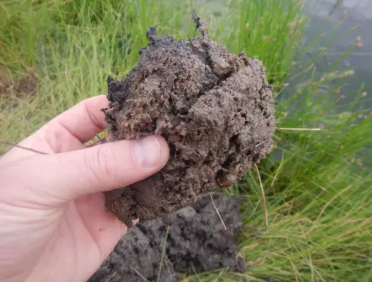 What are Hydric Soils What are Hydric Soils